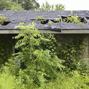 Sloth (USA-2) : 7-22-14